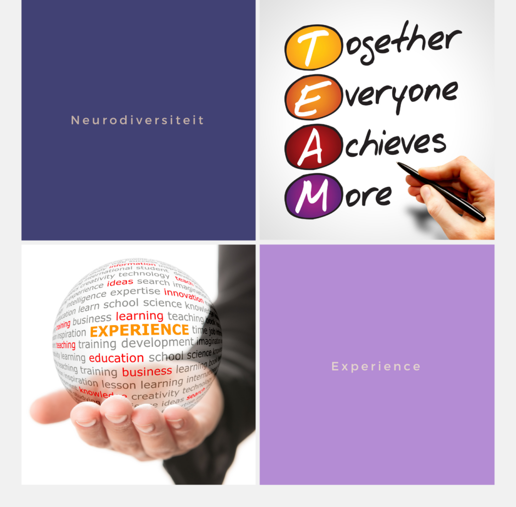 Interactieve training neurodiversiteit voor teams
